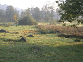 odihna, cazare, transilvania